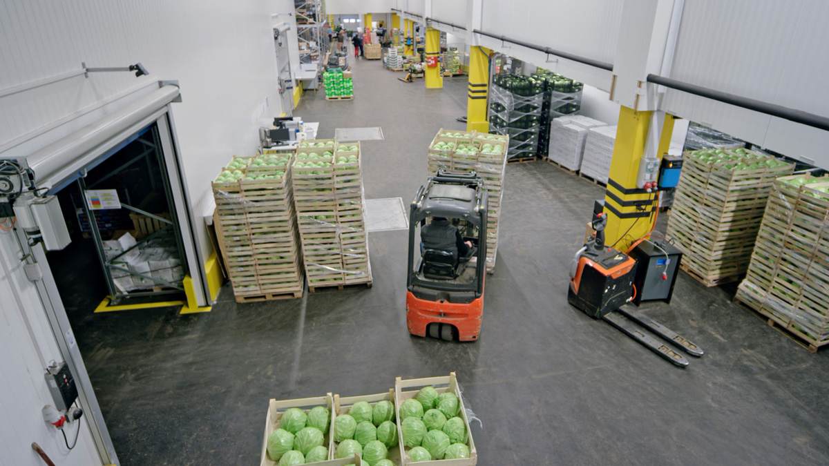 Grocery store putting out new produce